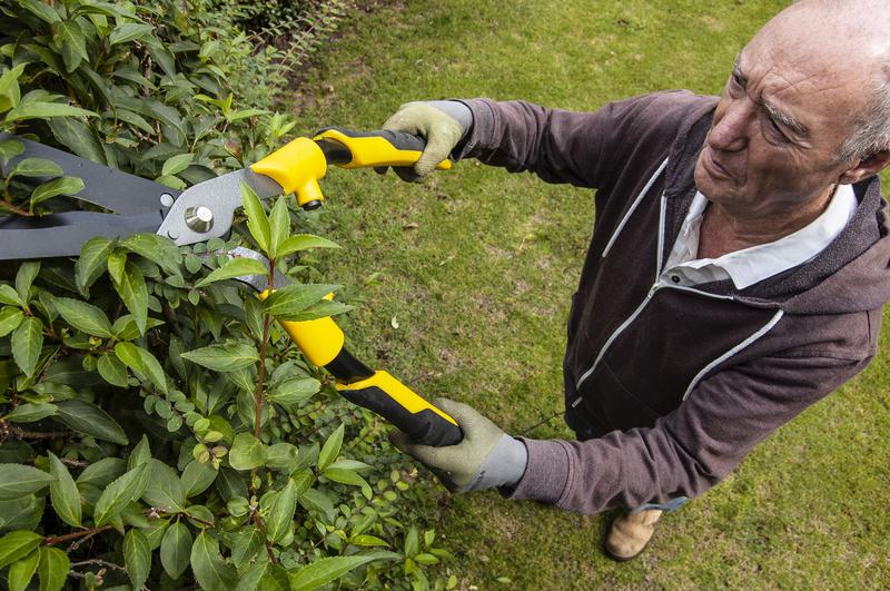 29" Wavy Blade Hedge Shear