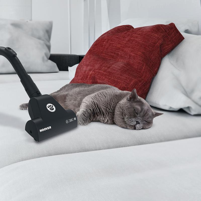 Breeze Pets Cylinder