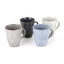 Barbary Oak Fossil Mug Set of 4 Reactive Glaze - BO874016