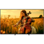 Sony BRAVIA 5 K55XR55B 55” Mini LED 4K Ultra HD Smart TV – Cognitive XR Processor, Dolby Vision/Atmos, Google TV (2025)