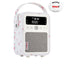 VQ Monty DAB Radio