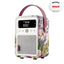 VQ Monty DAB Radio