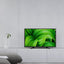 Sony 32'' Smart Android Tv - KD32W800PU